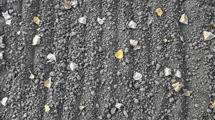 the ground