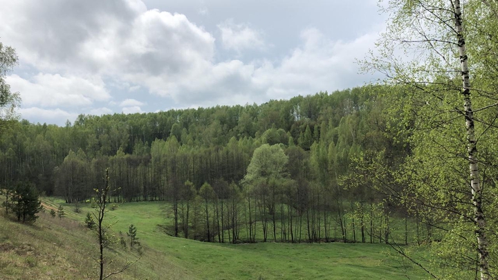 Ранняя весна