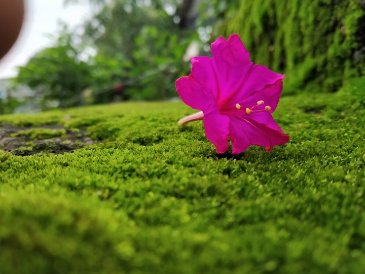 my photography
