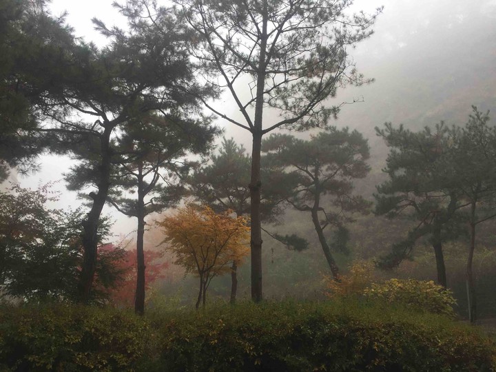 autumn