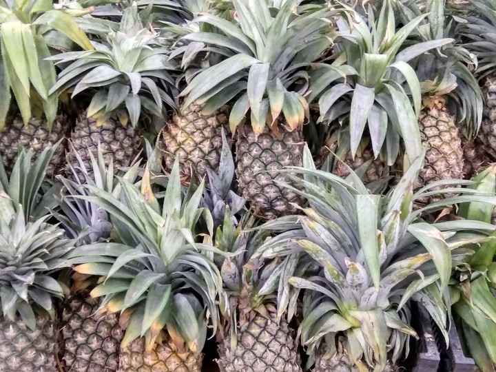 pineapple