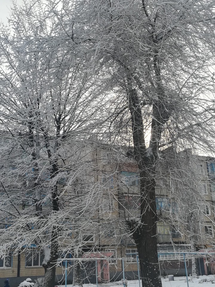 nice WINTER 