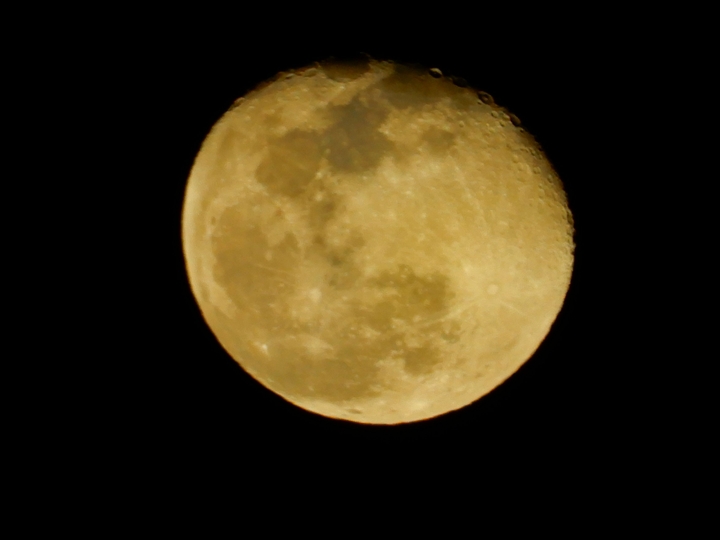 new mexico moon