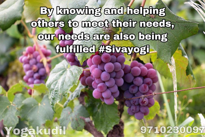 Be helped