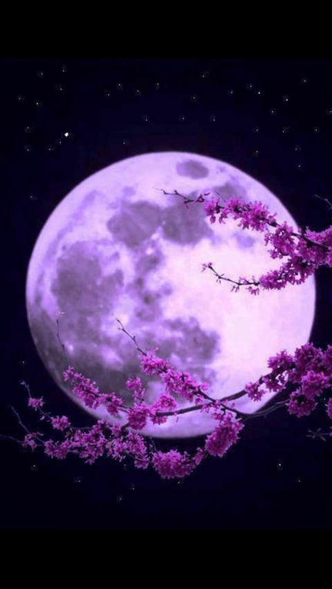 universe, moon壁纸