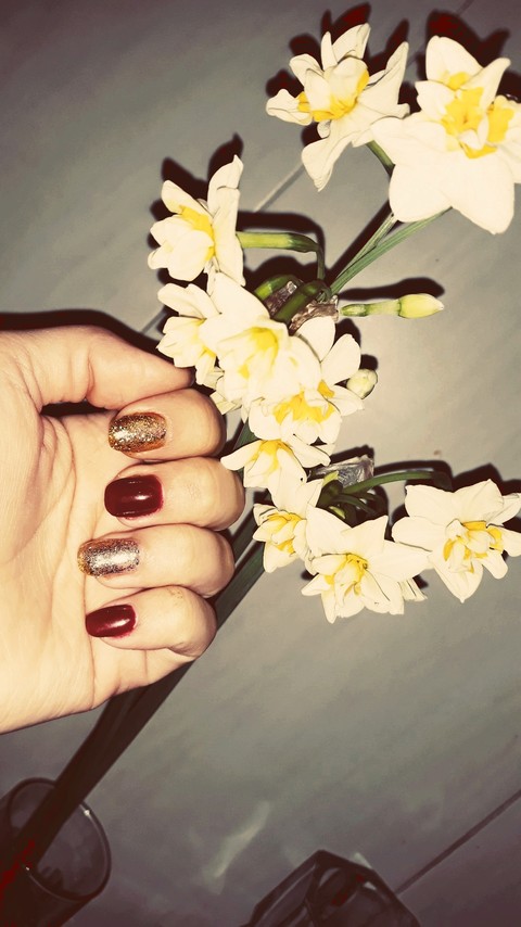 my nail shellac
