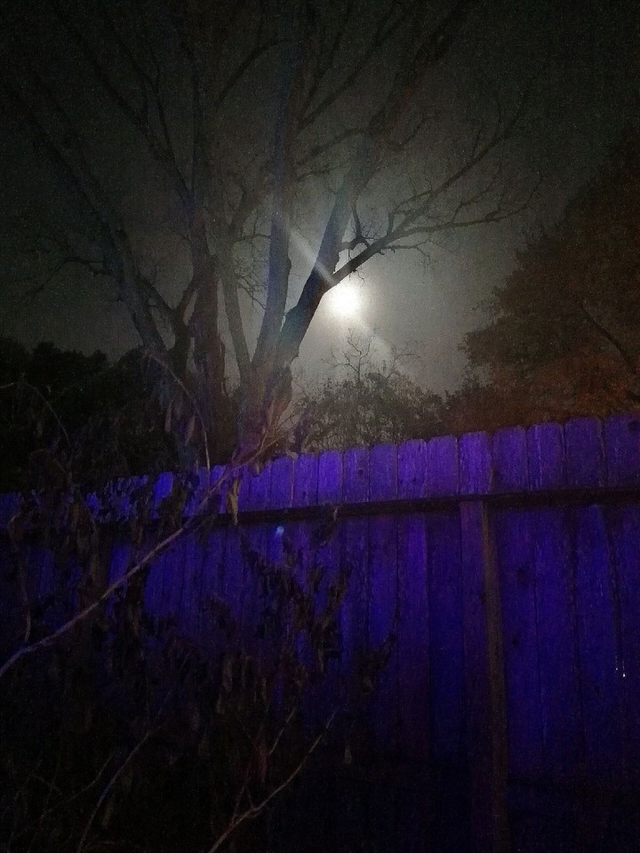 moonlight