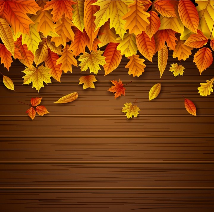 Autumn pattern