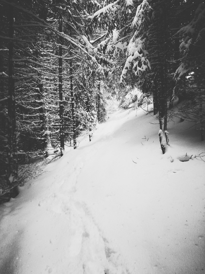 Footsteps