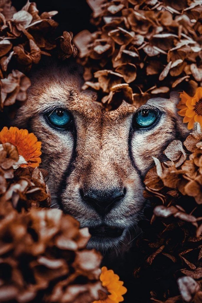 ❤