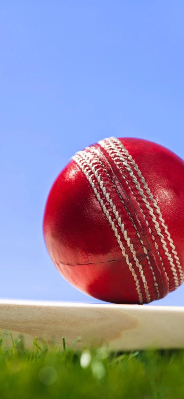 cricket ball