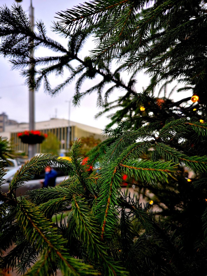 Christmas
