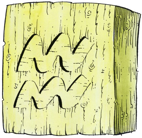 Illustration and Painting