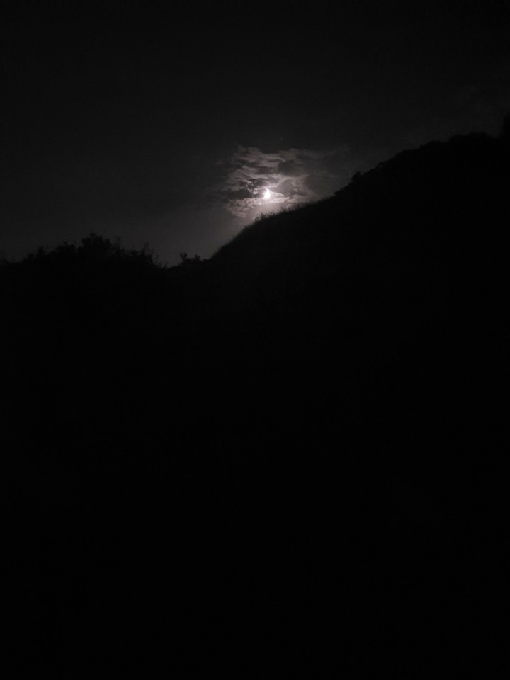 carried away by a moonlight shadow