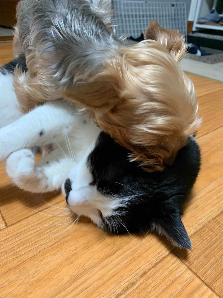 love