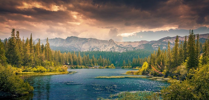 nature
