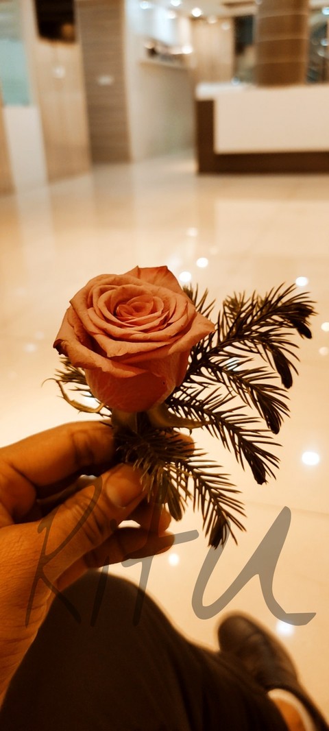flower, Table Hintergrundbilder