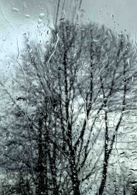 rain