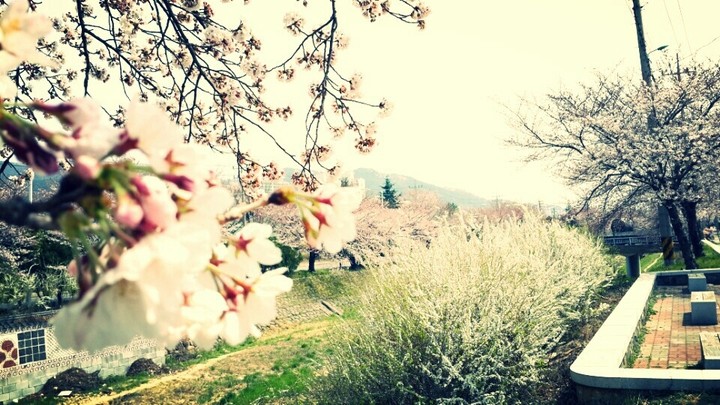 Spring