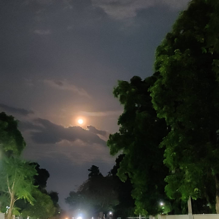 moon light evening