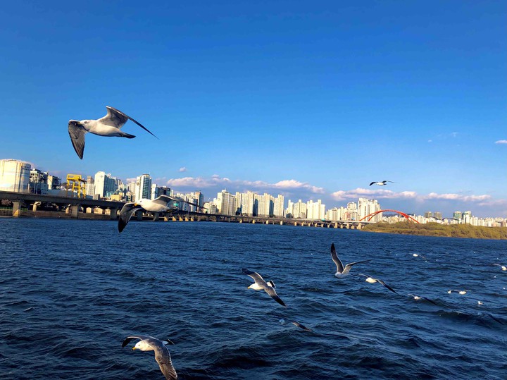 Han river, Seoul, KOREA