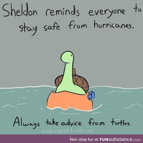 Sheldon loves to give advice.