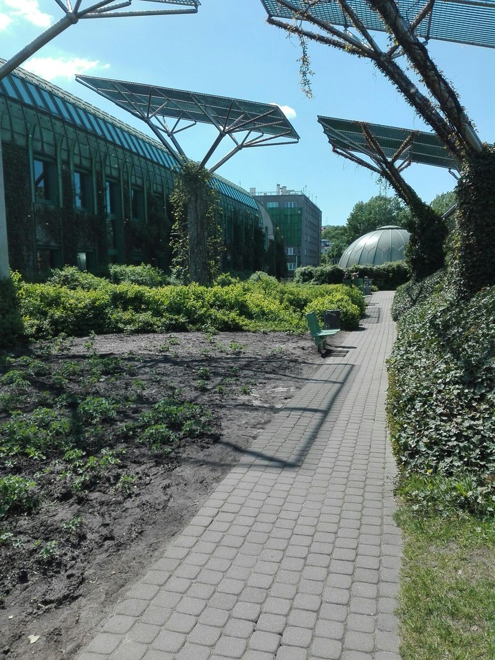 Cute Garden