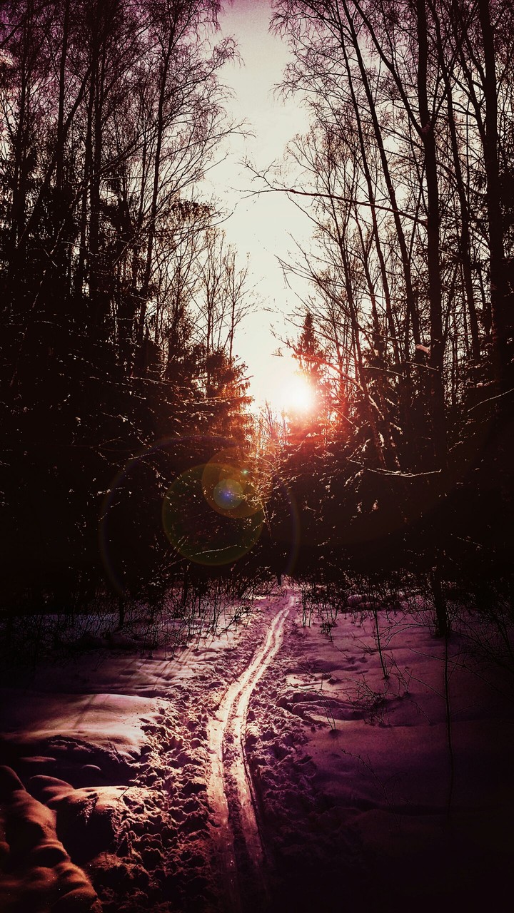 sunset