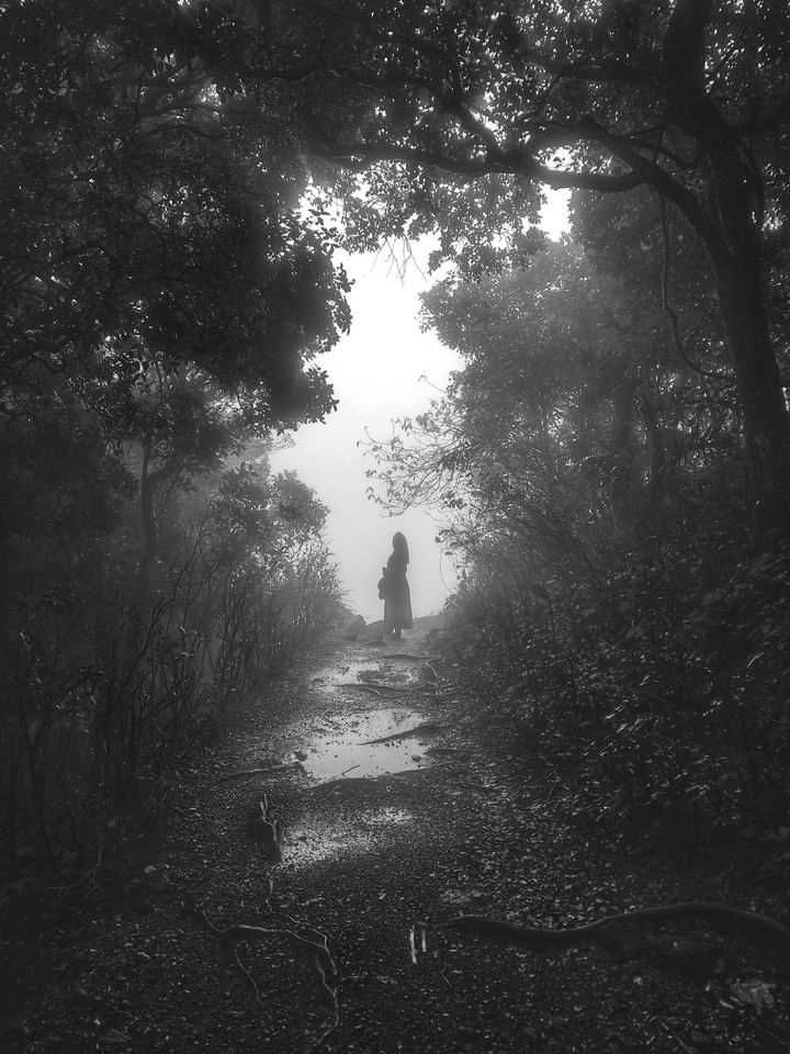 silhouette