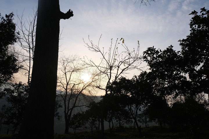 nature