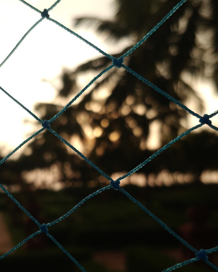 Capture sunset