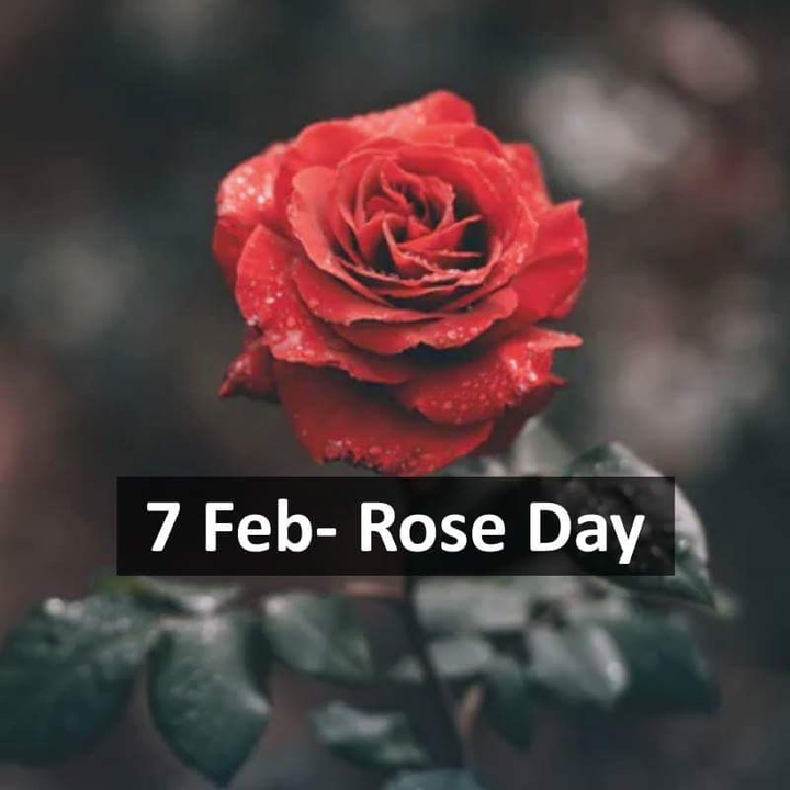 feb
