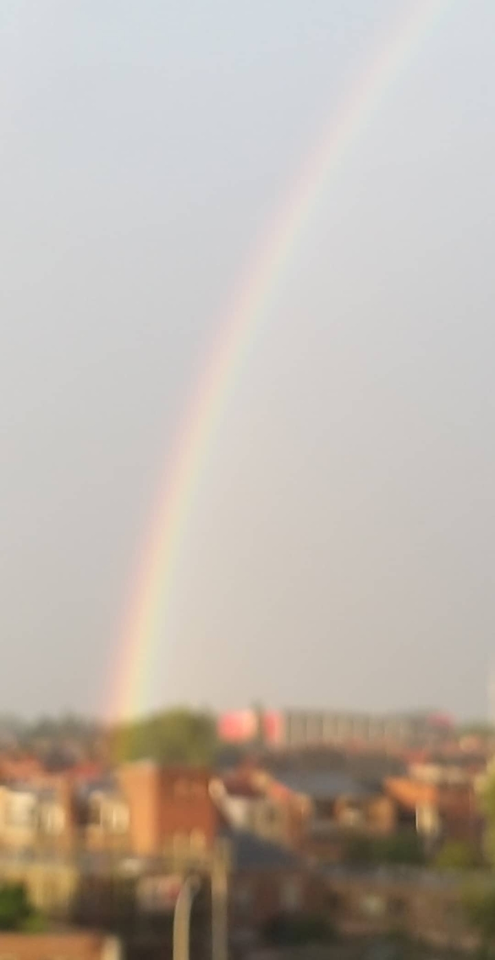 Rainbow