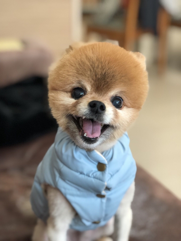 Happy?