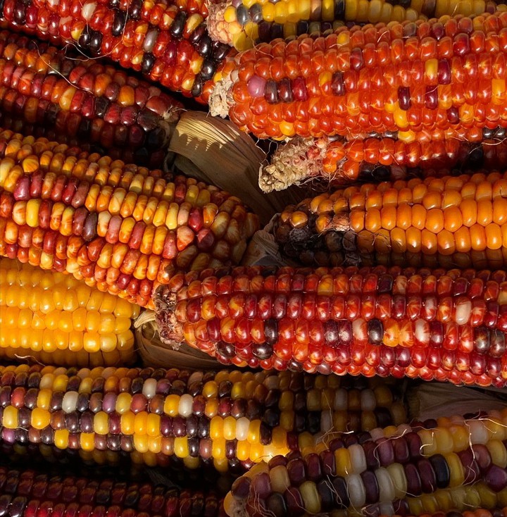 corn