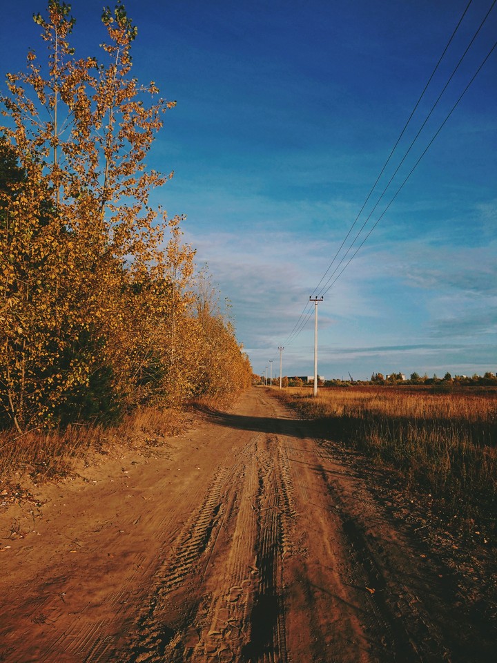Autumn
