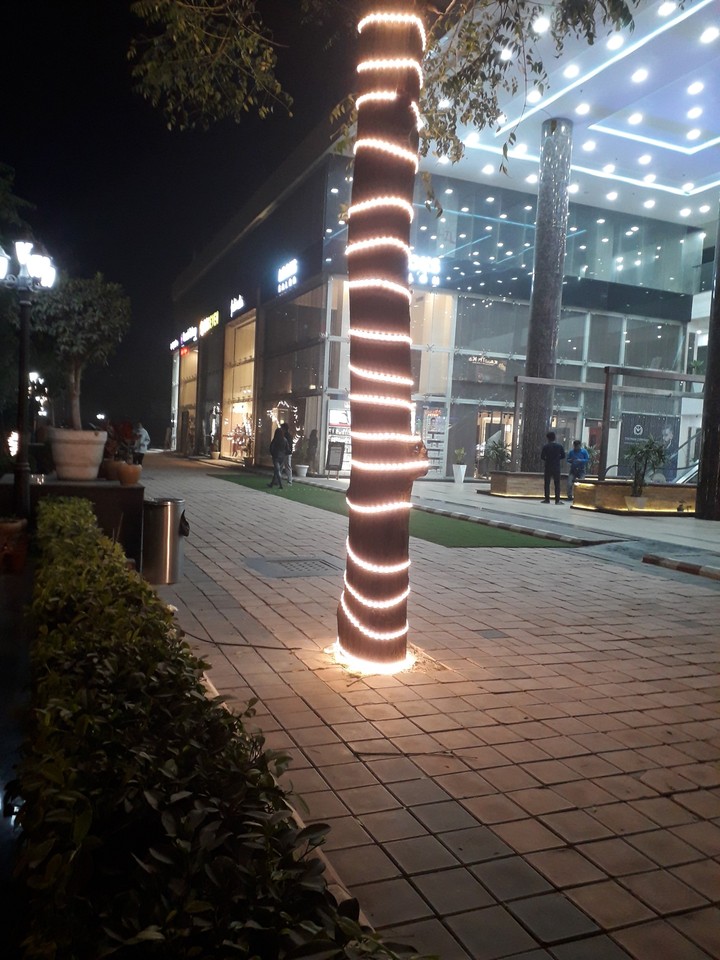 lights