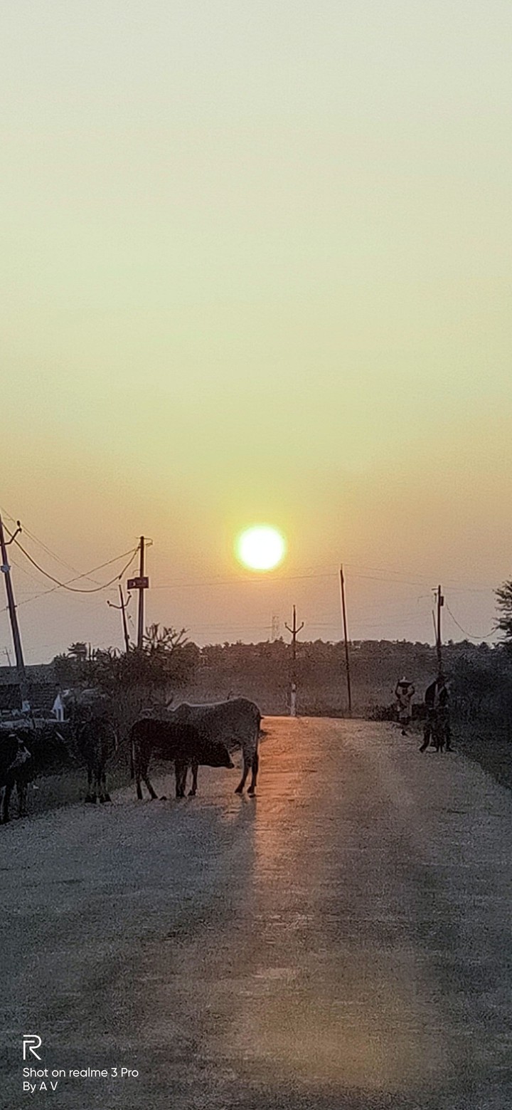 Evening sunset?