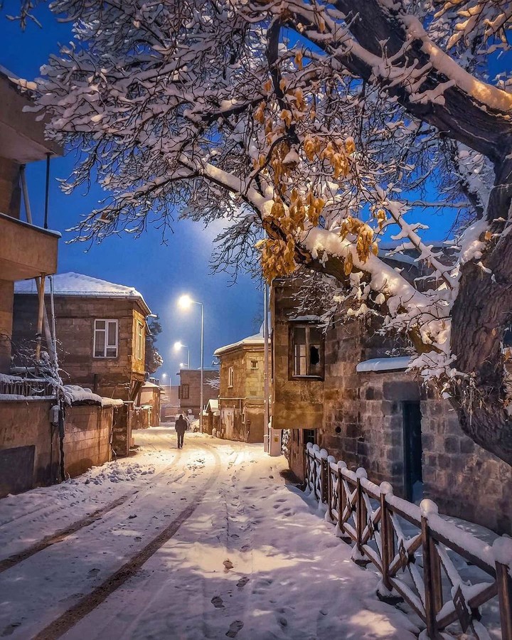 buz ❄