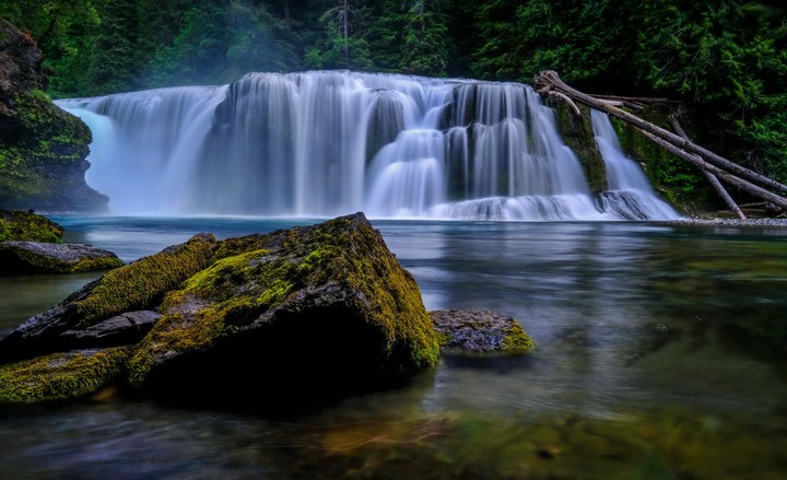 nature