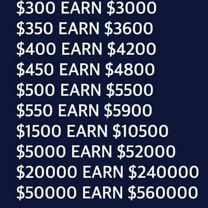 profit