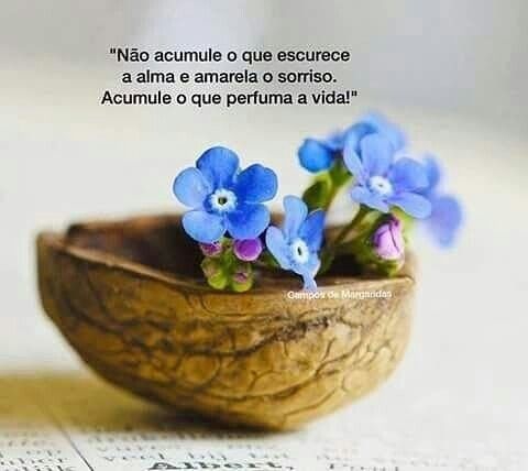 Aos meus queridos amigos do coração bjs