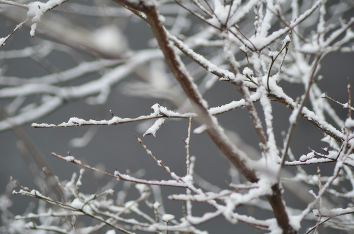 snow day