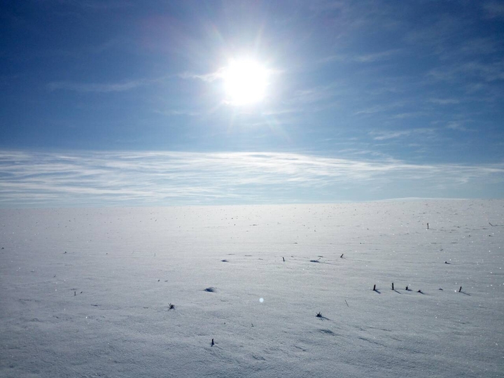 #winter