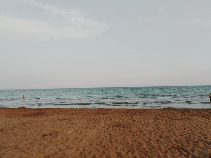 see