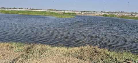 watercourse, marsh wallpapers