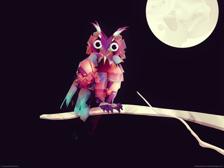 NIGHT KING OWL