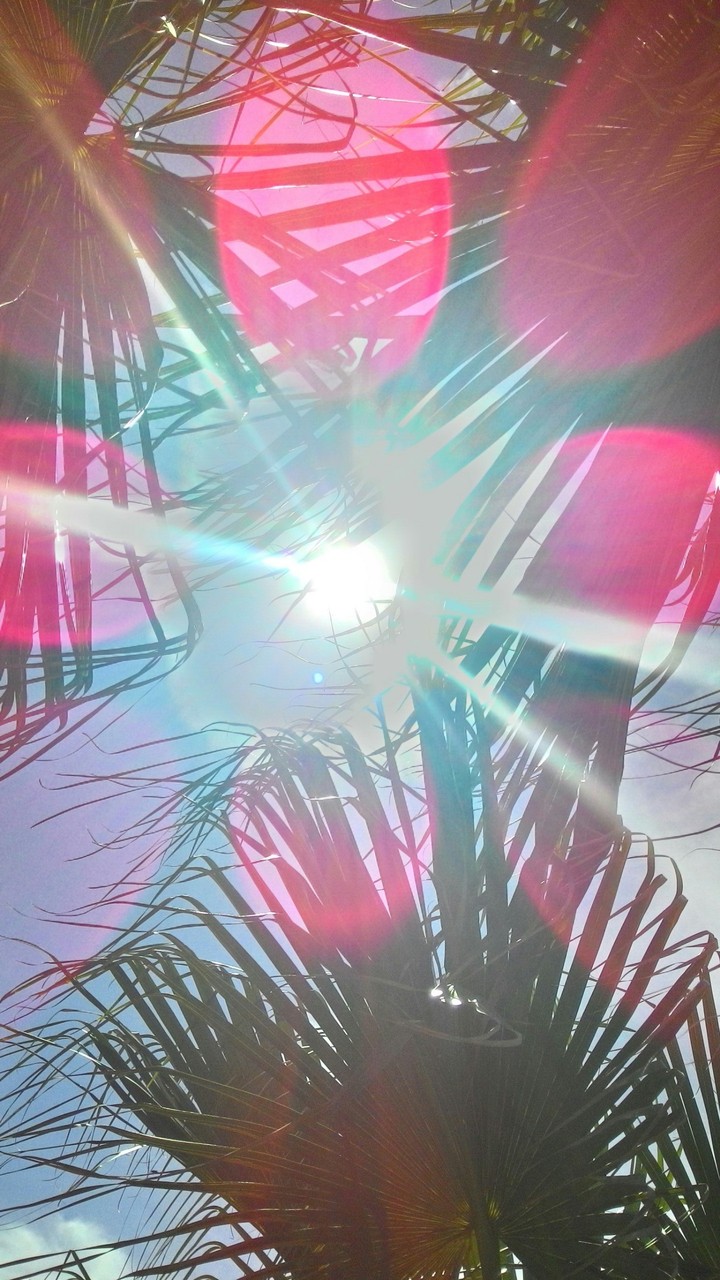 summer