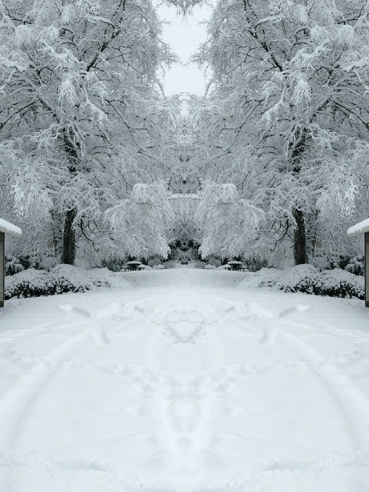 snowy mirrors