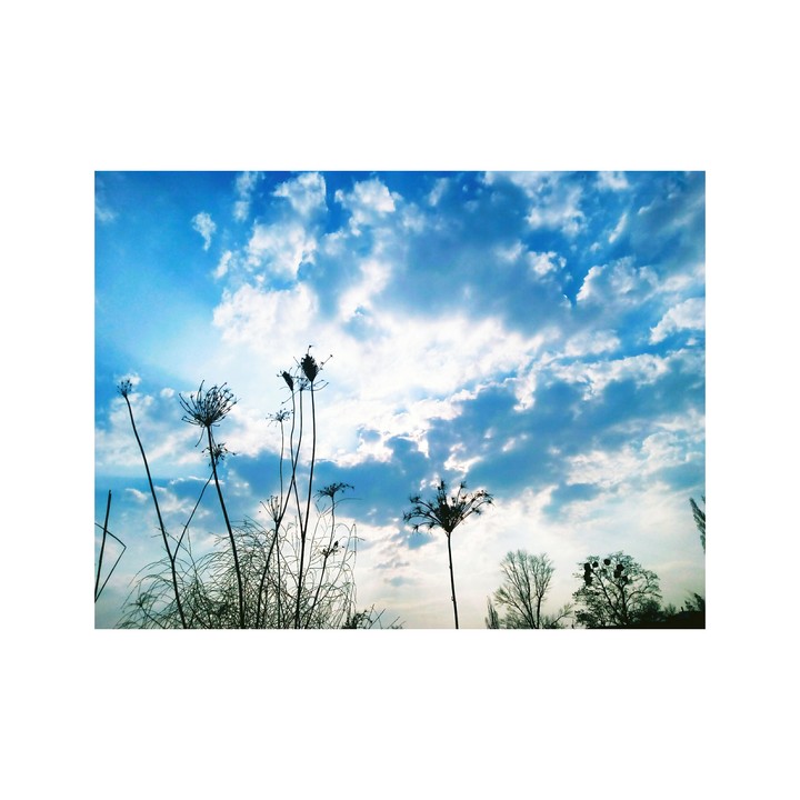 ?Sunshine day?